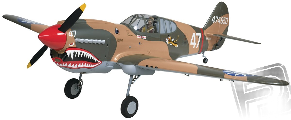 Giant P-40 Warhawk 40-60ccm 2185mm ARF